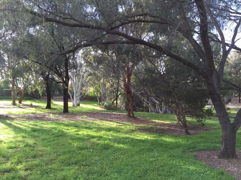 22b Lochinvar Street, Paradise SA 5075