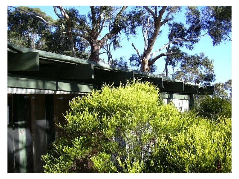14 TERINGIE DRIVE, Teringie SA 5072