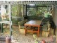 8/15 BOTANIC STREET, Hackney SA 5069