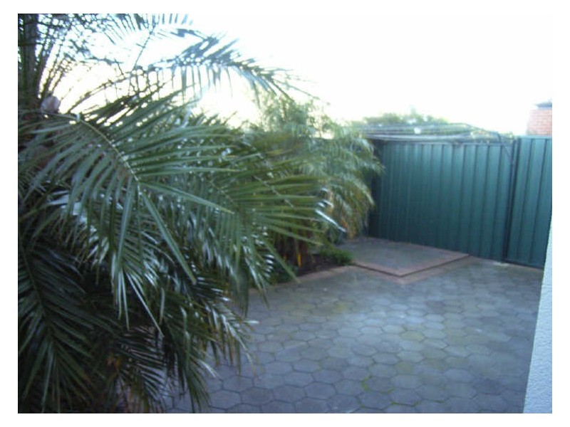 1 Thiele Grove, Kensington Park SA 5068