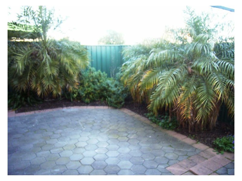 1 Thiele Grove, Kensington Park SA 5068