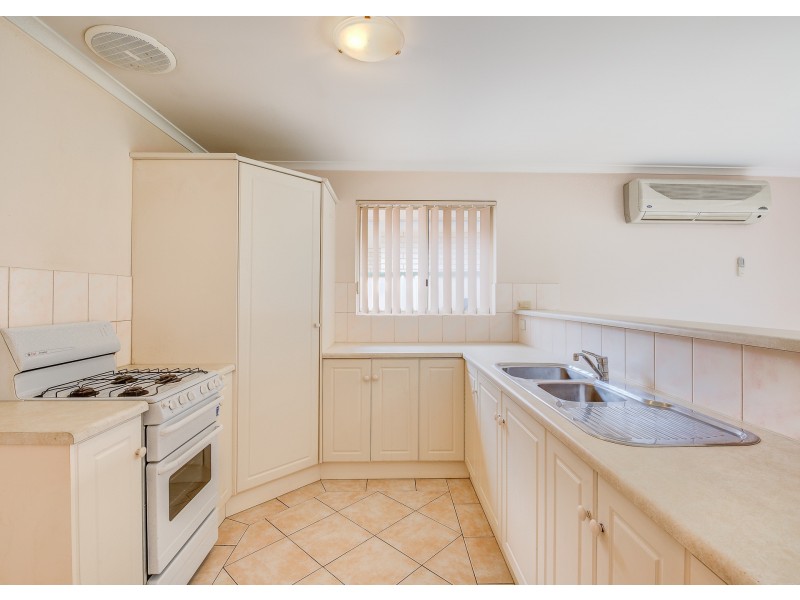 8 Shropshire Avenue, Hillcrest SA 5086