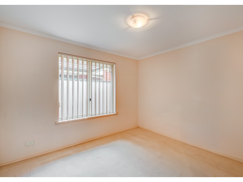 8 Shropshire Avenue, Hillcrest SA 5086