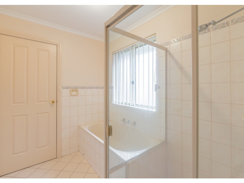 8 Shropshire Avenue, Hillcrest SA 5086