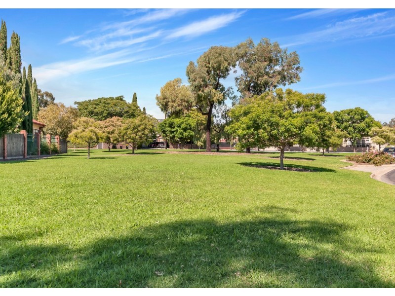 3 Thiele Grove, Kensington Park SA 5068