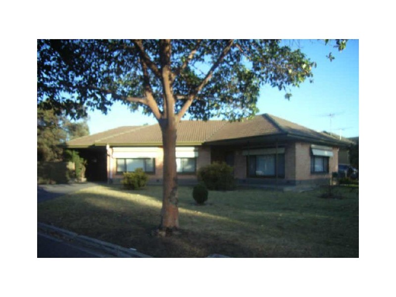 31 MOSELEY ROAD, Paradise SA 5075