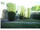 31 MOSELEY ROAD, Paradise SA 5075