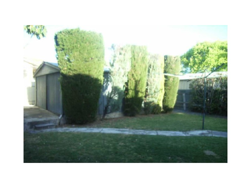 31 MOSELEY ROAD, Paradise SA 5075