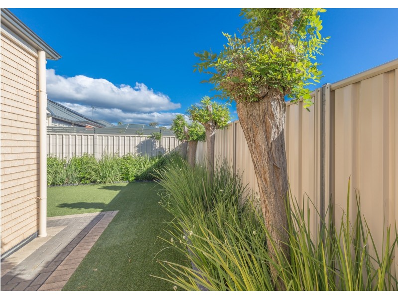 1D Cardigan Avenue, Felixstow SA 5070