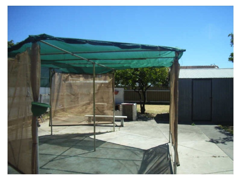 12 PIERSON STREET, Hectorville SA 5073