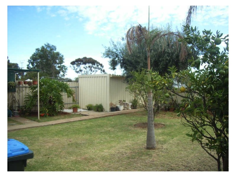 11 Hancock Avenue, Campbelltown SA 5074