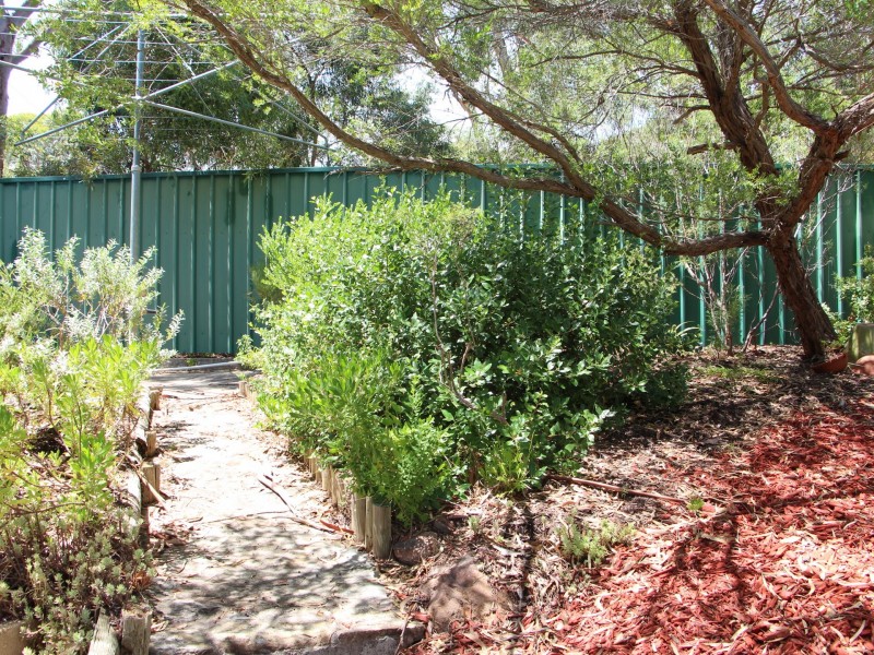 7 Sheoak Drive, Athelstone SA 5076