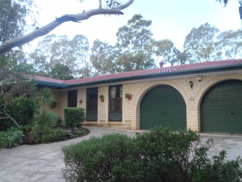 7 Sheoak Drive, Athelstone SA 5076