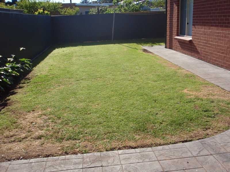 61 Barnes Road, Glynde SA 5070