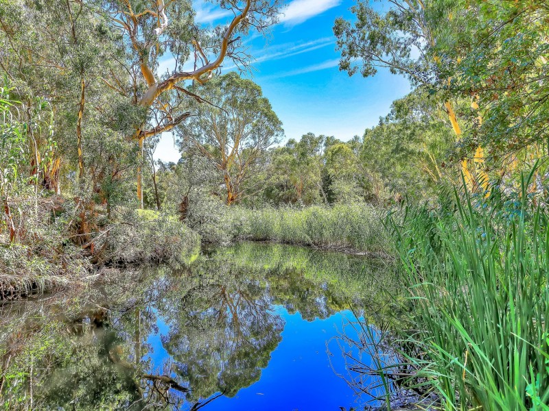 71 Orange Grove Circuit, Dernancourt SA 5075