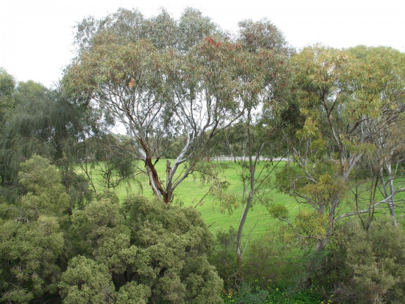 107 Commercial Road, Salisbury SA 5108