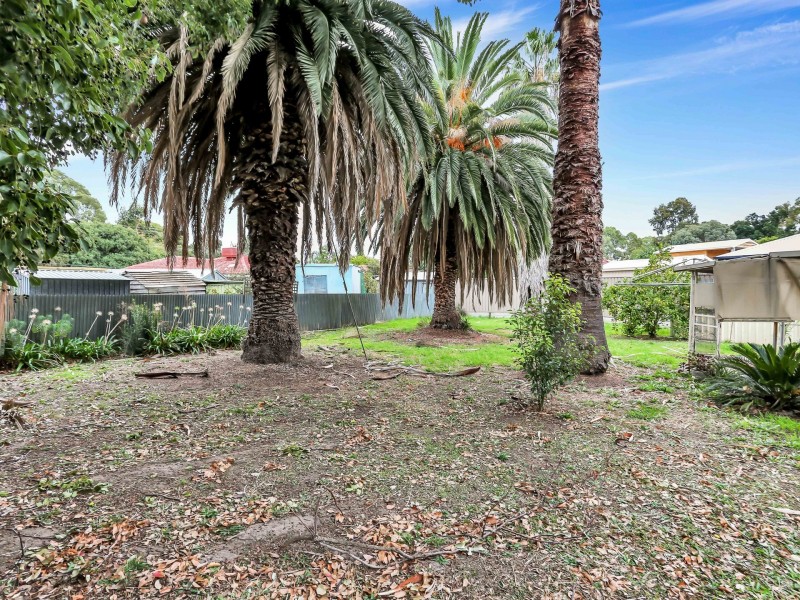 34 Botanic Grove, Campbelltown SA 5074