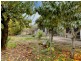 33 Loader Street, Glynde SA 5070