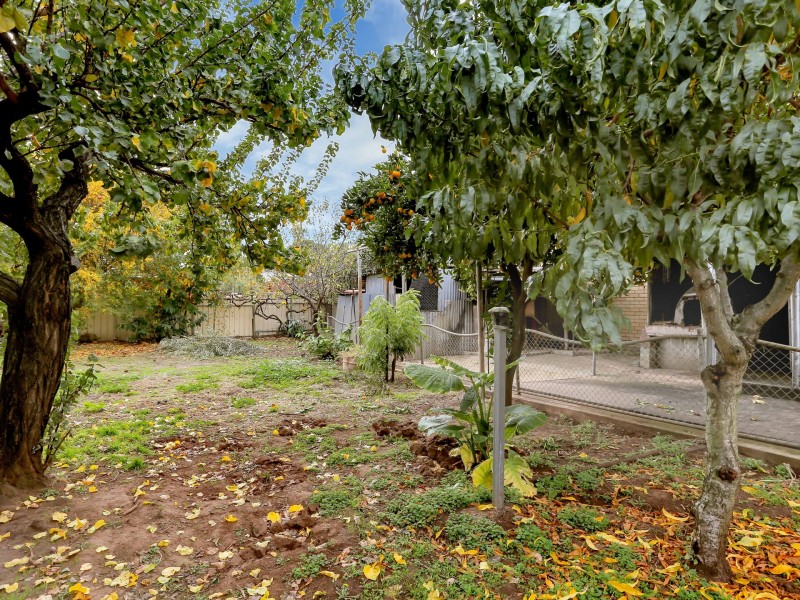 33 Loader Street, Glynde SA 5070