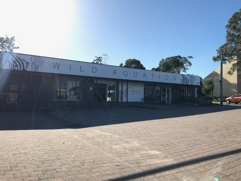 637 Lower North East Road, Campbelltown SA 5074