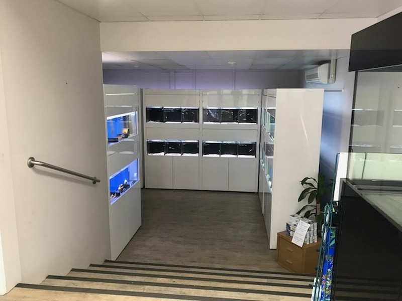 637 Lower North East Road, Campbelltown SA 5074