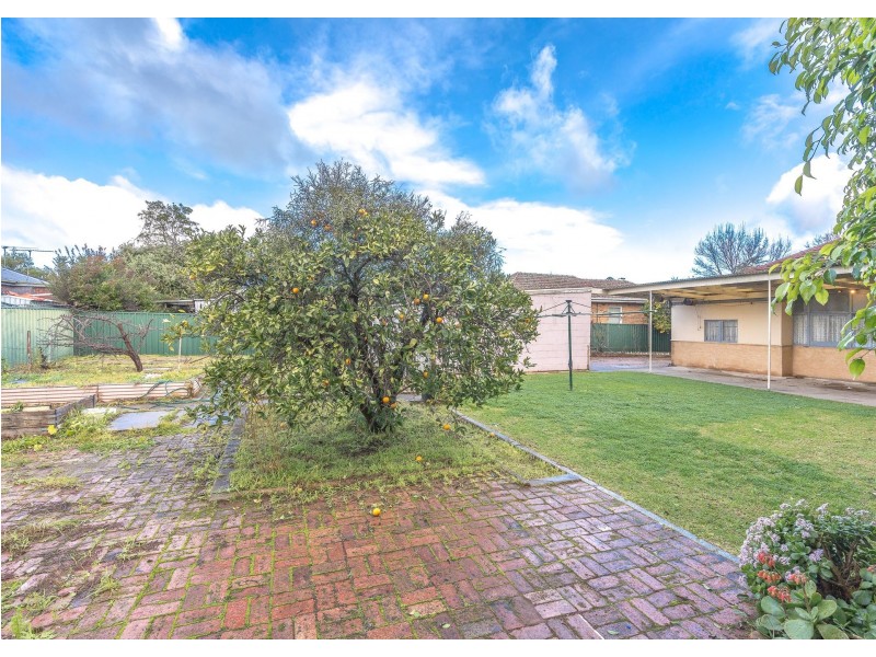 234 Glynburn Road, Tranmere SA 5073