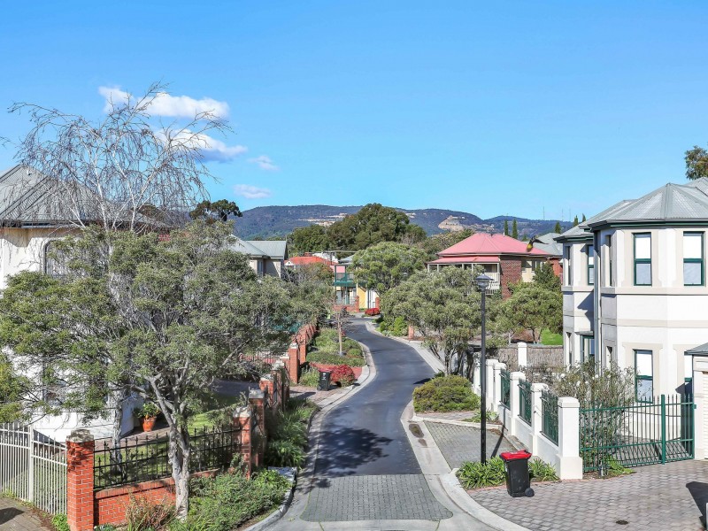 1 Thiele Grove, Kensington Park SA 5068