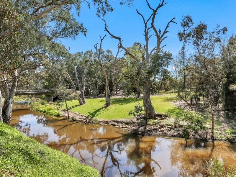 5 Alder Street, Paradise SA 5075