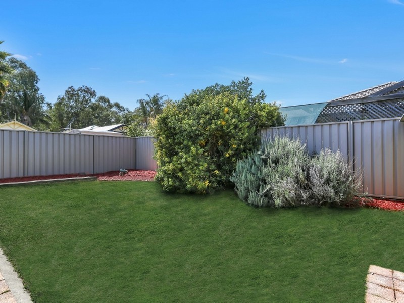 5 Alder Street, Paradise SA 5075