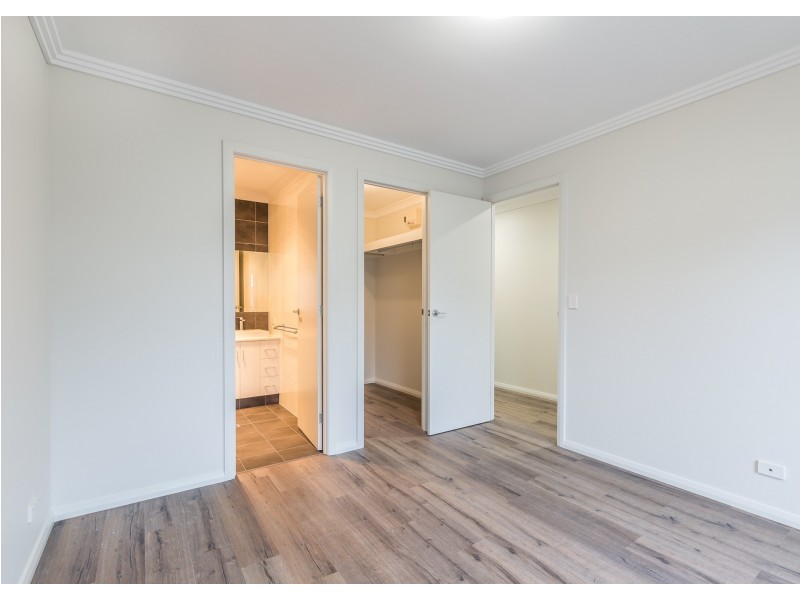 11B Palumbo Avenue, Newton SA 5074