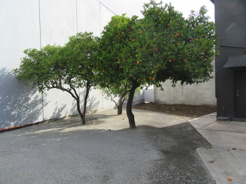 570 North East Road, Holden Hill SA 5088