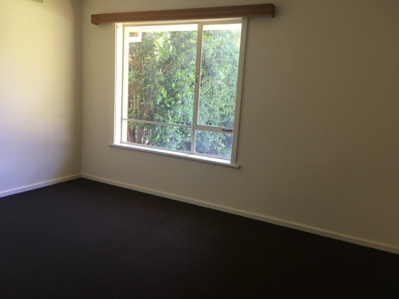 14 Botanic Grove, Campbelltown SA 5074