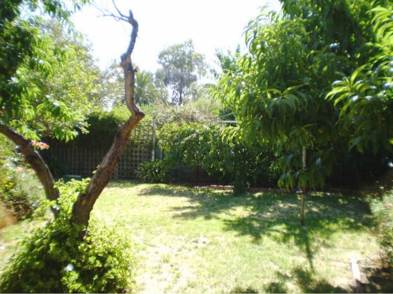 3 Pam Street, Payneham South SA 5070