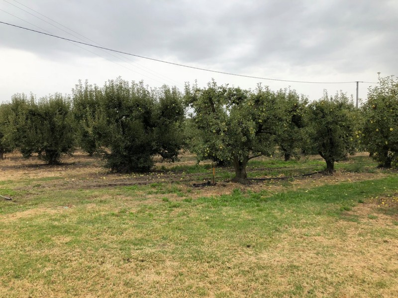 47 Hurst Road, Paracombe SA 5132