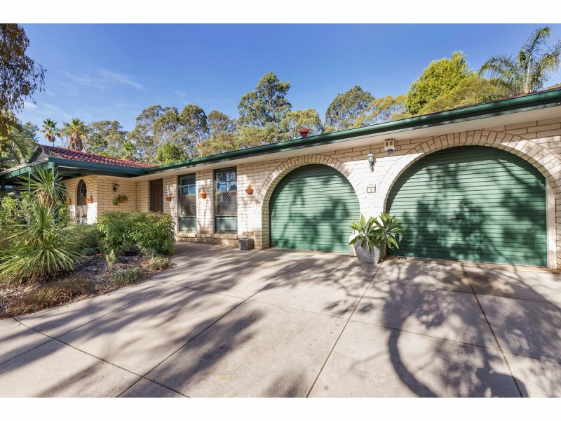 7 Sheoak Drive, Athelstone SA 5076