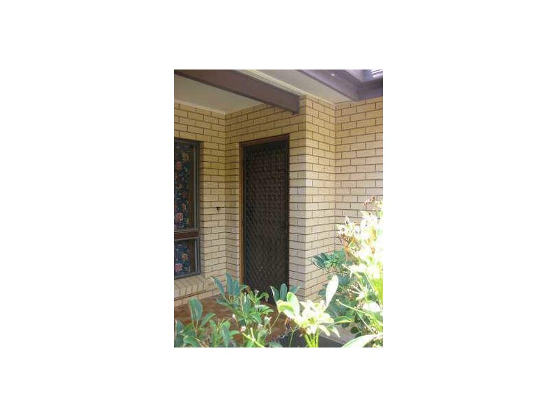 165 GEORGE STREET, Paradise SA 5075