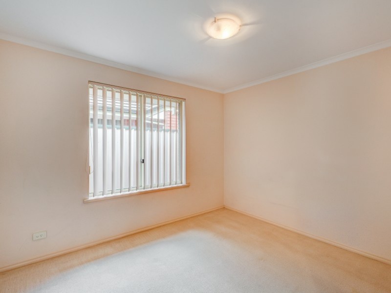 8 Shropshire Avenue, Hillcrest SA 5086