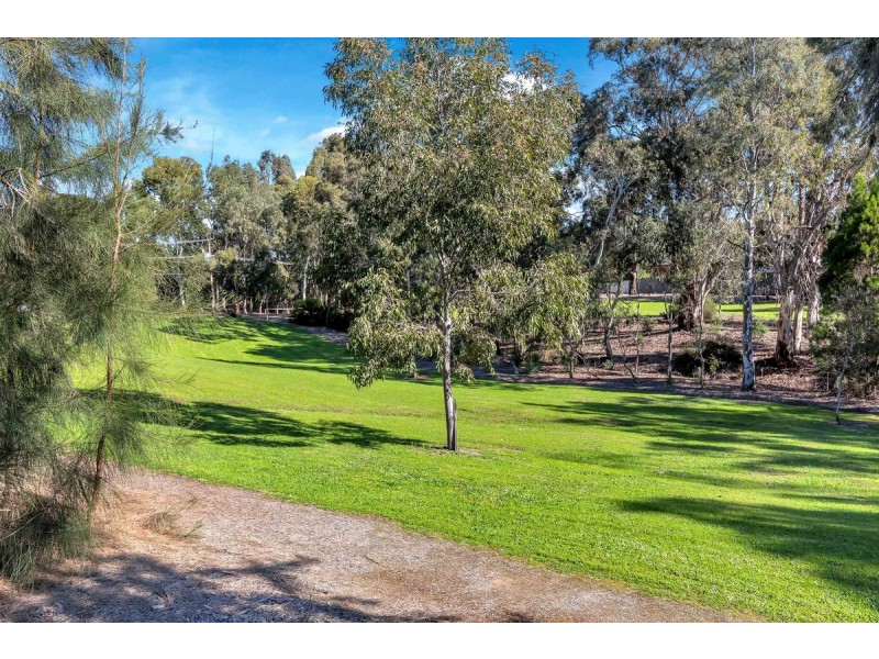19B Meadowvale Road, Athelstone SA 5076