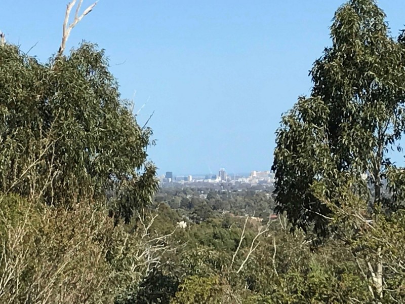 42 Quondong Avenue, Athelstone SA 5076