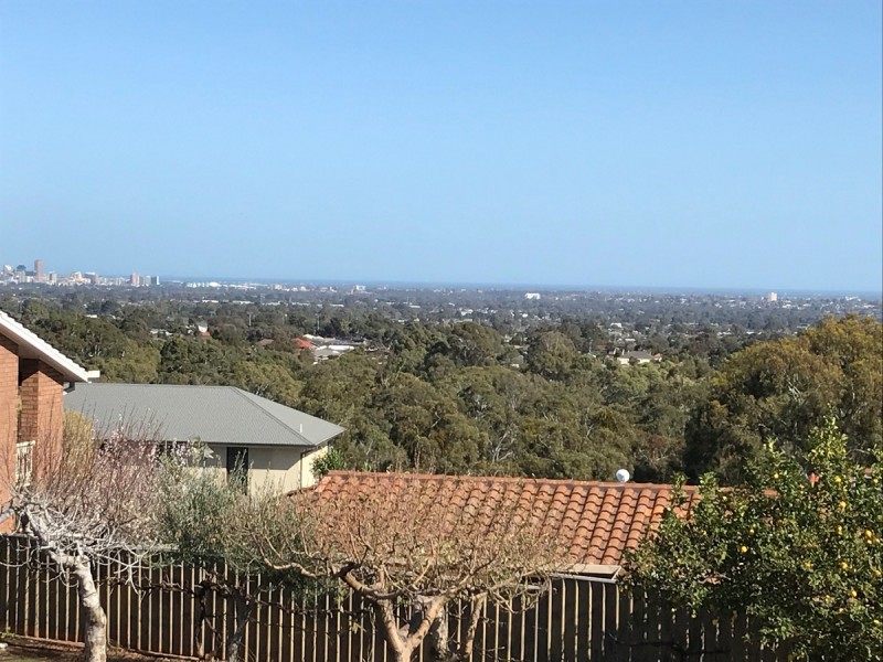 42 Quondong Avenue, Athelstone SA 5076