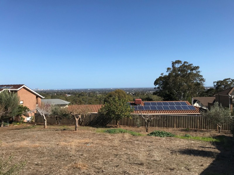 42 Quondong Avenue, Athelstone SA 5076