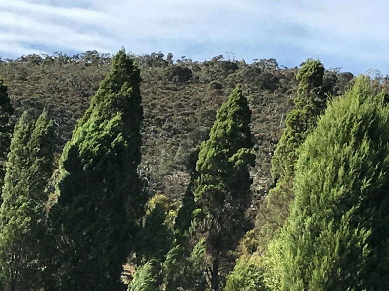 42 Quondong Avenue, Athelstone SA 5076