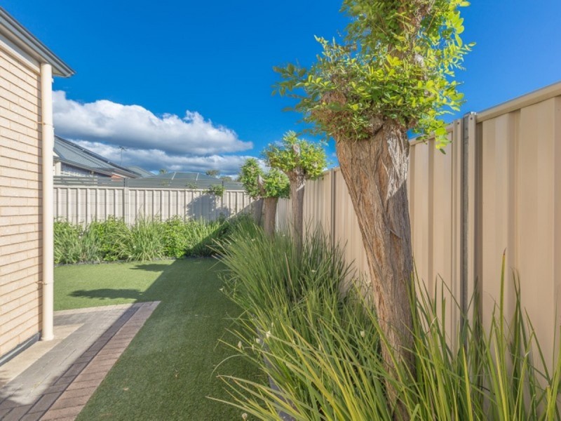 1D Cardigan Avenue, Felixstow SA 5070