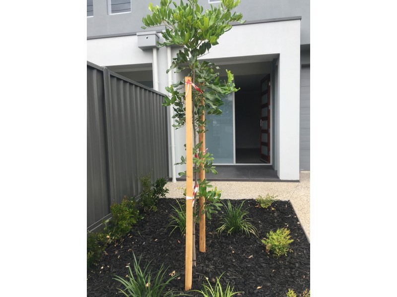 12B Palumbo Avenue, Newton SA 5074