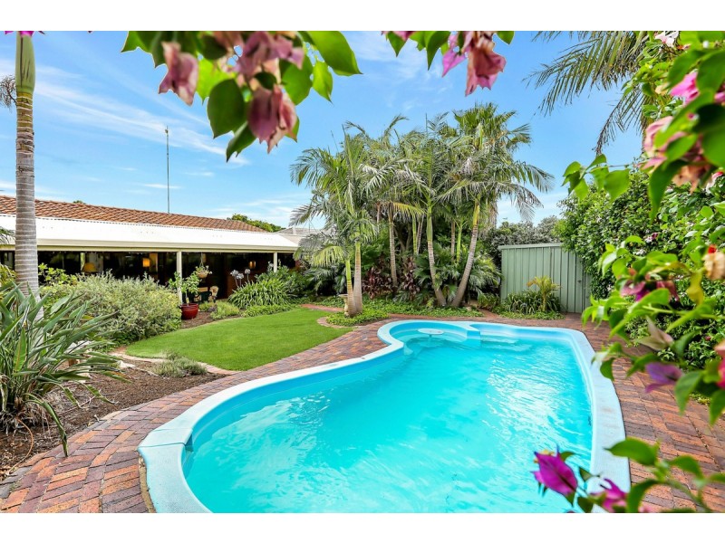 7 Torrensview Road, Athelstone SA 5076