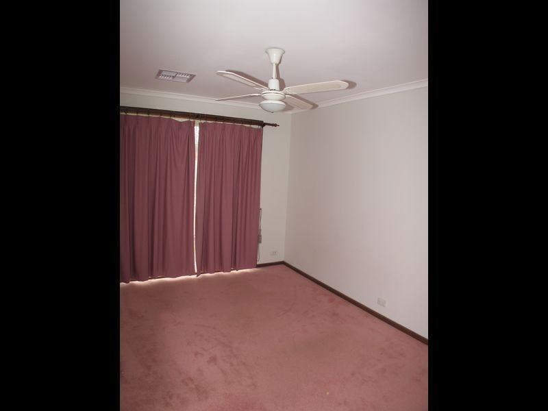 23 VAGNONI AVENUE, Paradise SA 5075