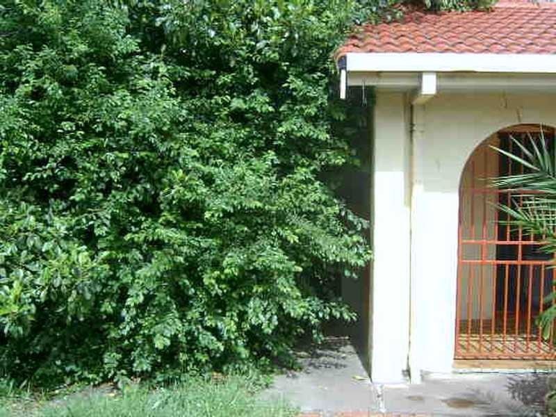 16 GLENDA DRIVE, Athelstone SA 5076