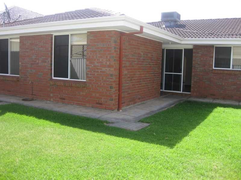 3A THEODORE AVENUE, Athelstone SA 5076