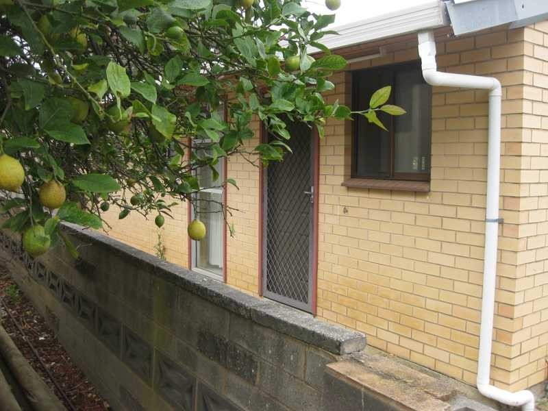 21B Mayfred Ave, Hope Valley SA 5090