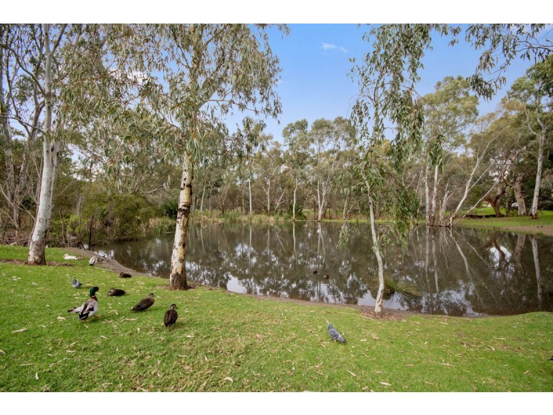 37a Packers Drive, Highbury SA 5089